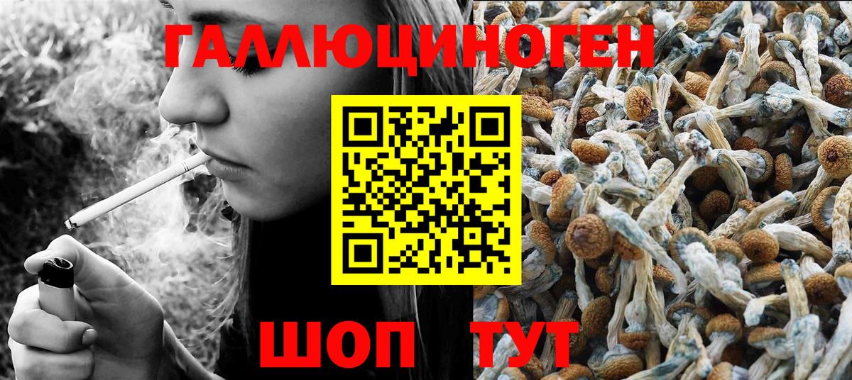 Псилоцибиновые грибы прущие грибы Каспийск